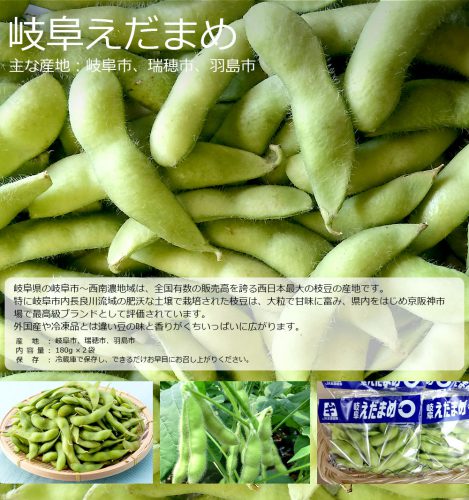 ぎふベジ野菜セット